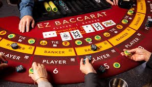 canyon44 Pembayaran & Pengeluaran